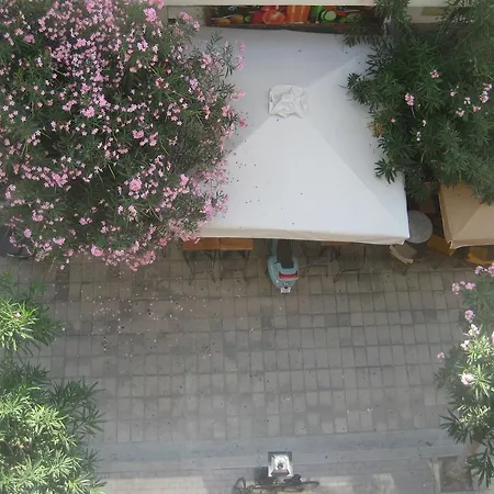 Milva Kos Town